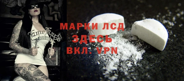 гидра Аркадак